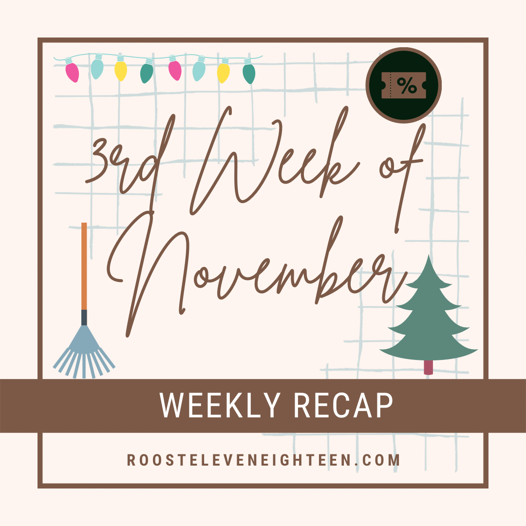 my 3rd week of november update graphic